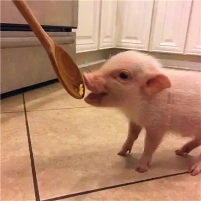 高质量沙雕头像 高清很火的搞怪头像图片_搞笑头像_头像屋