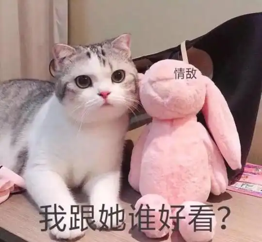 甜到心坎里的可爱表情包拿去撩喜欢的人超实用你的小宝贝来啦