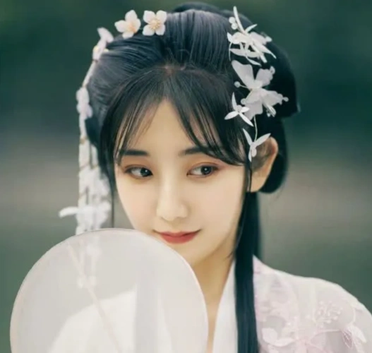 心理测试你最喜欢下面哪个古代发型测你前世是什么命格我公主