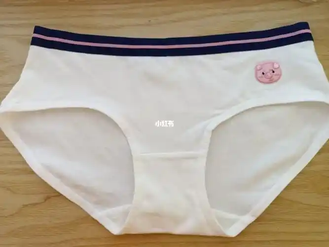 紫色花语纯棉少女低腰内裤 ,这是一款适合少女的纯棉低腰休闲内裤.