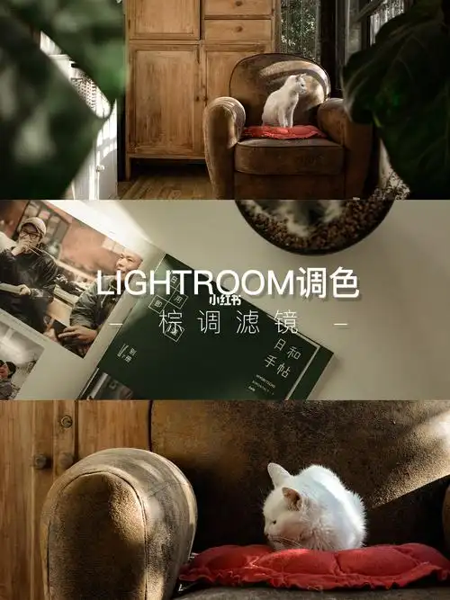 lightroom调色记录生活的棕色暖调滤镜