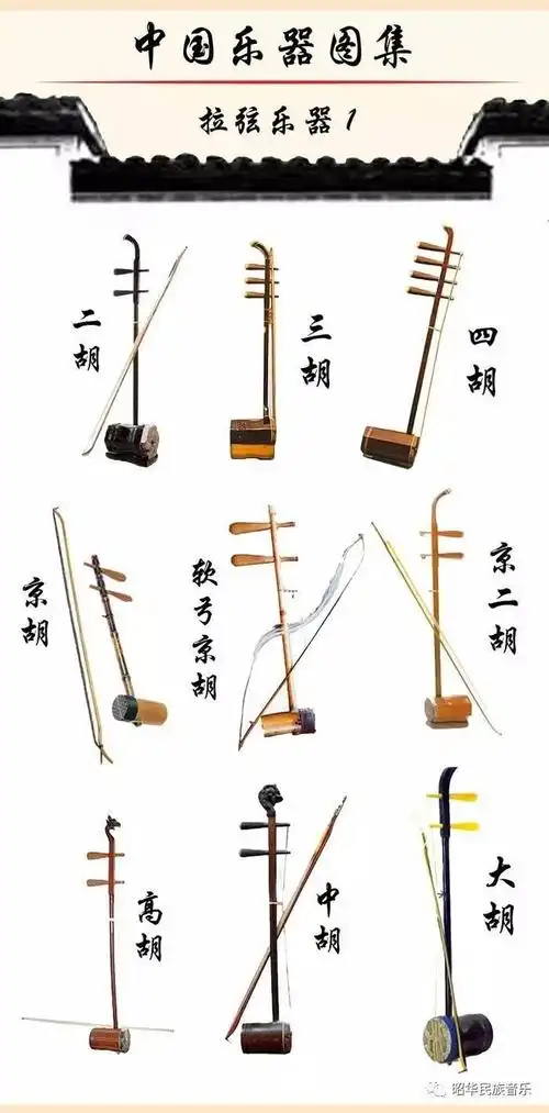 中国民族乐器拉弦,拨弦,击弦乐器图集