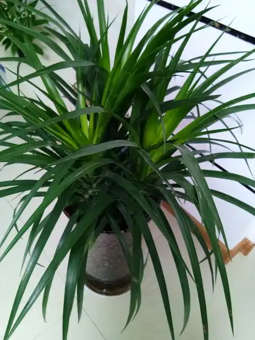 一帆风顺 - 美篇