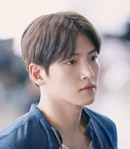 假发男中分蓬松学生图片