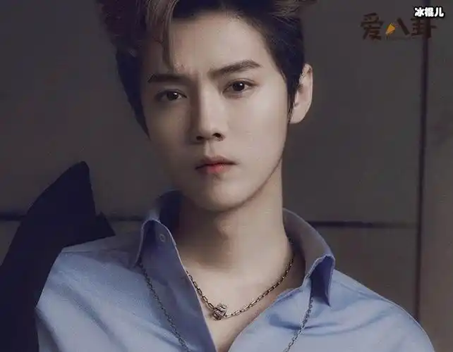 鹿晗的爸爸到底是不是鹿兆许,其实鹿晗本人没有回应过,他也没有在公开