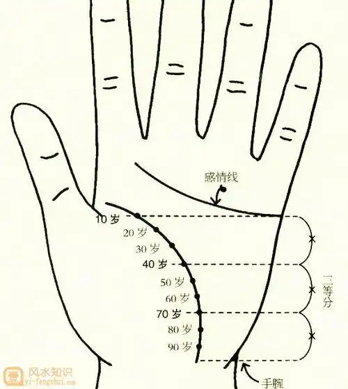 手掌生命线和感情线合并的女(生命线和感情线中间有一条线相连)