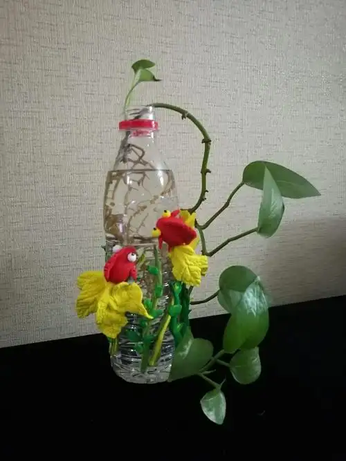 鱼儿在瓶上舞——矿泉水瓶也可派派用场嘛