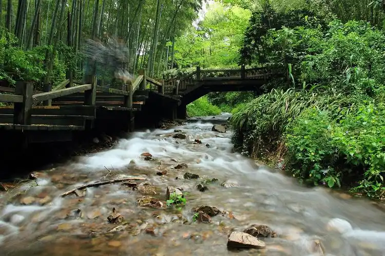 小桥流水的介绍