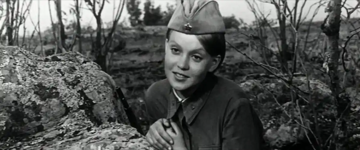 这里的黎明静悄悄thedawnsherearequiet(1972)