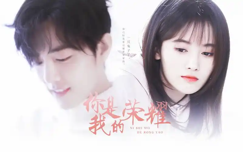 肖战x鞠婧祎你是我的荣耀