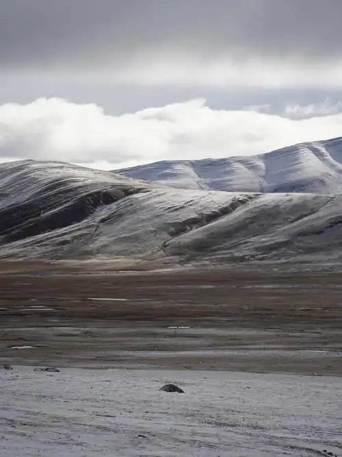 可可西里无人区