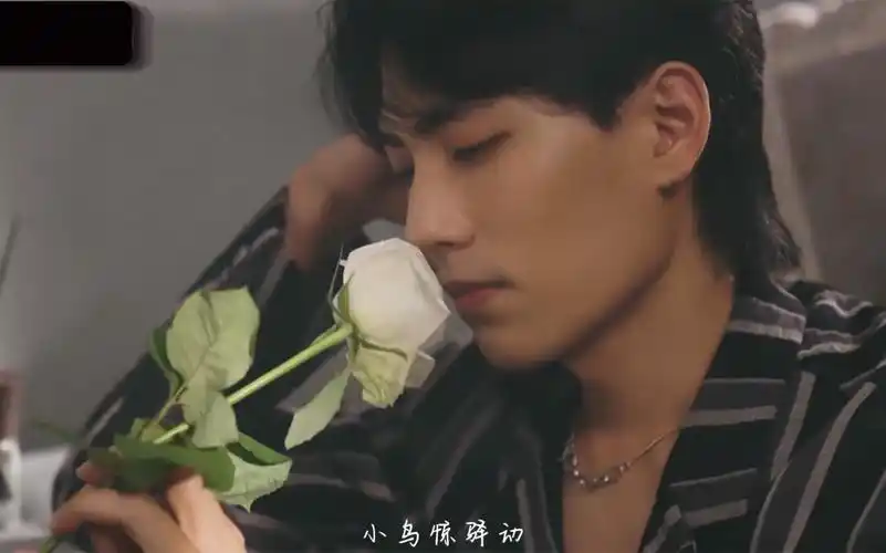 林子闳的氛围感