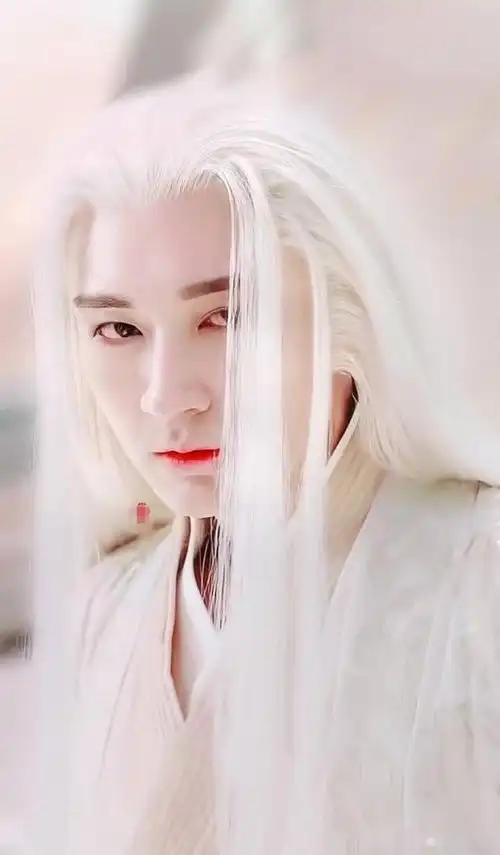 终于发现白发,有比东华帝君还要帅的角色了,清新俊逸如画中人