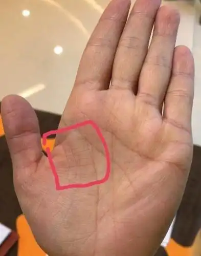 千万注意了,有钱有势的有福人之手相,看看你是幸运儿吗?