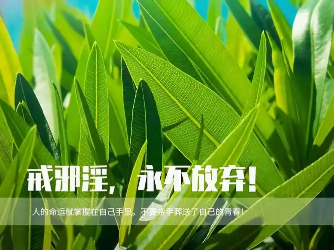 戒色840天戒与不戒两种人生