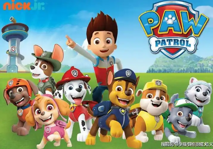 汪汪队立大功从狗狗口头禅看不同品种的狗狗个性特点一