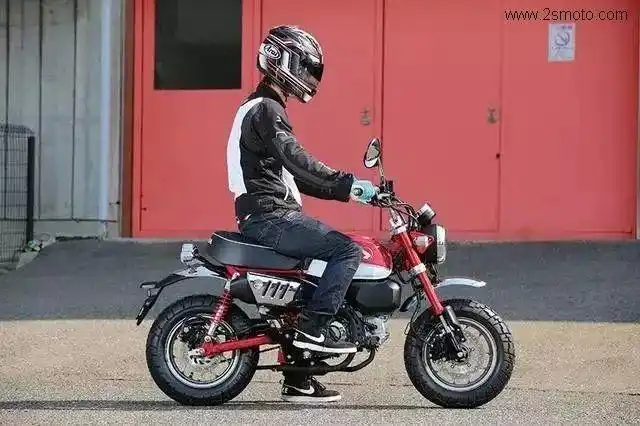 出乎意料的有趣,把玩jc70金童