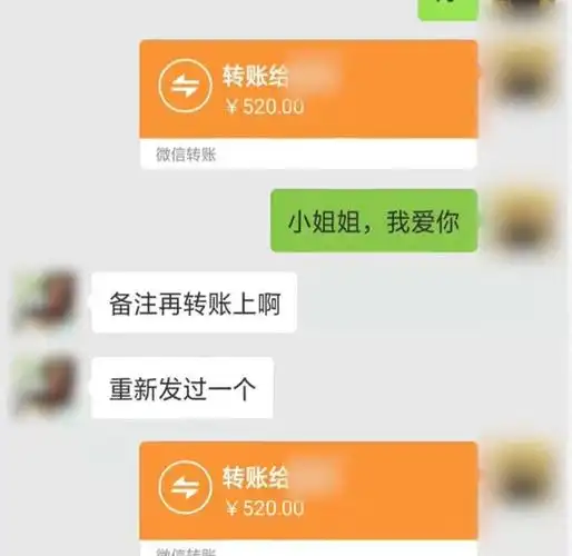 小伙加抖音"土豪"小姐姐微信,相信发520返1万,反被骗6千_转账