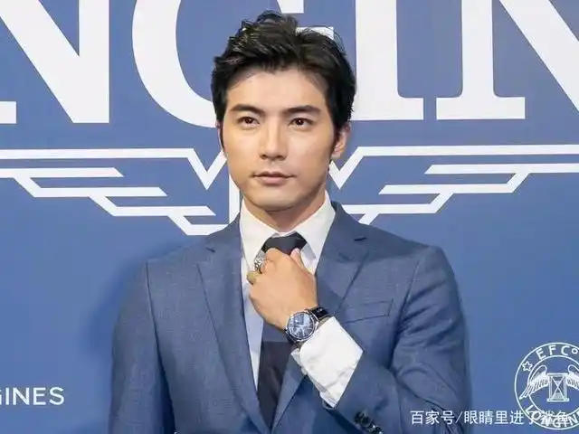 贺军翔到底帅在哪里?