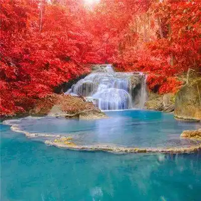 微信头像 | 招财吉祥好运风景头像图片