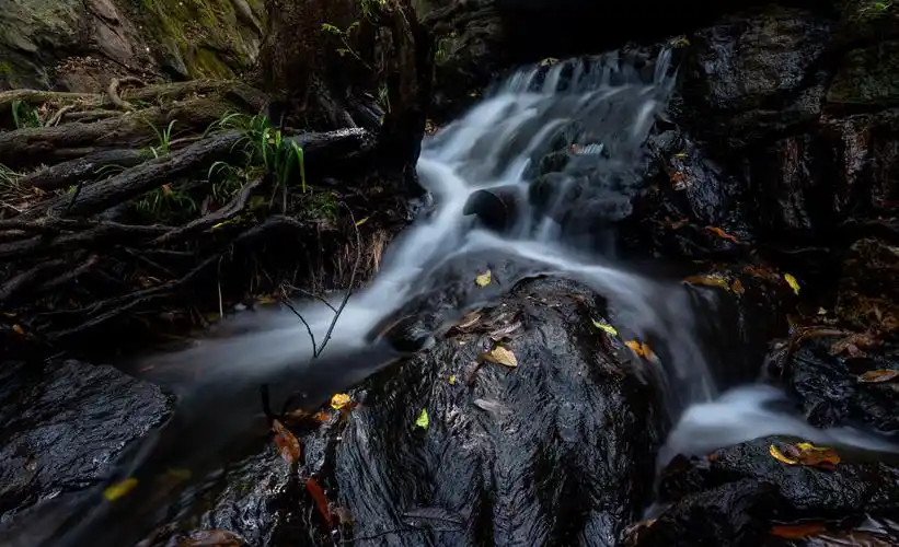 泉眼无声惜细流