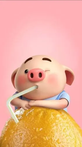 刷爆抖音的猪猪壁纸!