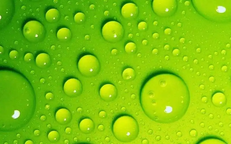 露珠水滴唯美高清桌面壁纸