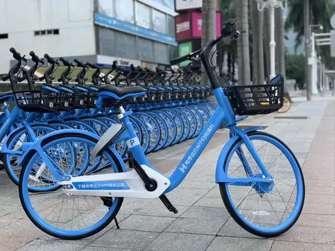 后来者居其上,哈啰出行的长期主义胜利_单车