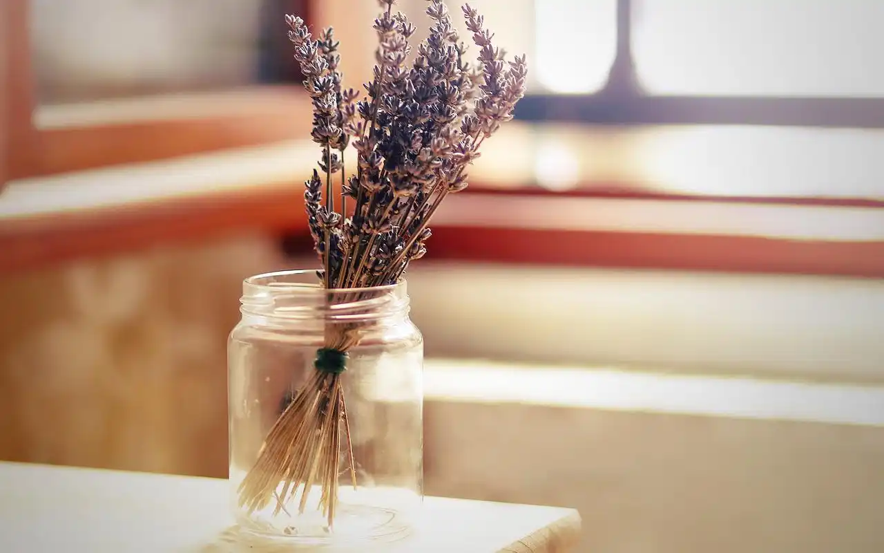 极简小清新素雅花朵花瓶盆栽唯美意境桌面壁纸第二辑