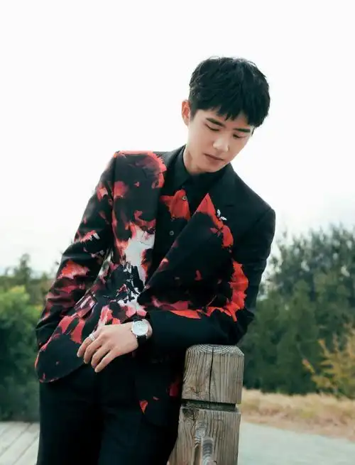 刘昊然印花西装帅气写真图片刘昊然图片