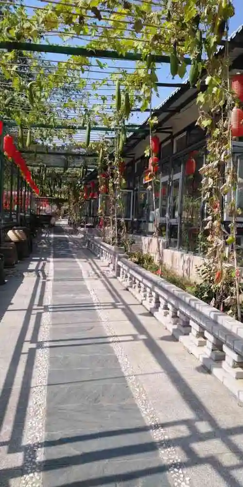 崂山民俗文化村-"路不好走,修路,全挖开了.里面一片狼藉,.