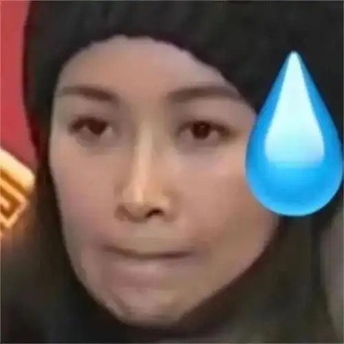 那英表情包合集91