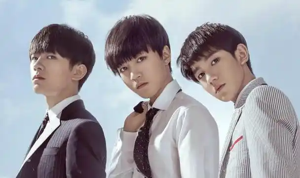 tfboys粉丝数量02tfboys的应援色02为什么tfboys的粉丝叫四叶草