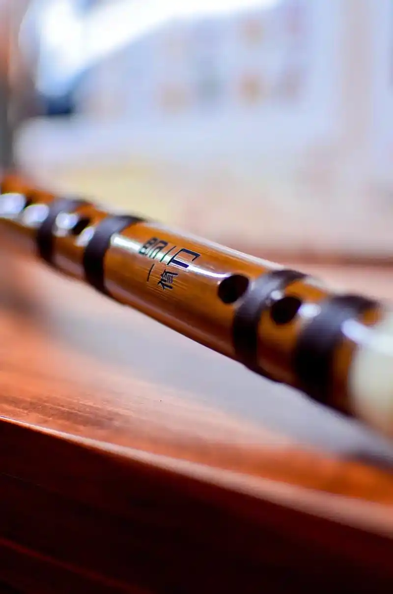 笛子 #民族乐器 #罗启培笛箫作品西湖展销点 有专业笛友与 - 抖音