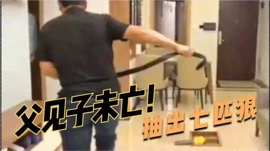人类爆笑行为合集父见子未亡抽出七匹狼哈哈哈