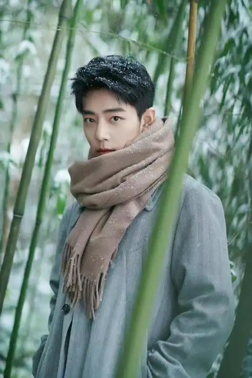 肖战穿灰色大衣配织带开叉牛仔裤拍雪景写真唯美时尚低调帅气