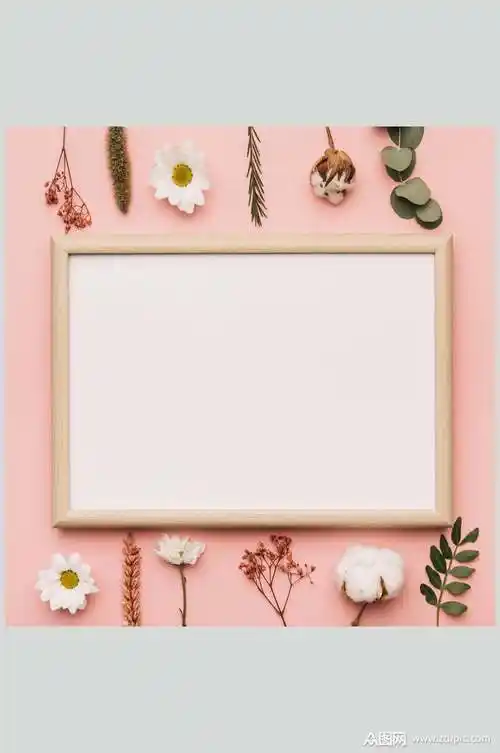 清新简约相框花语花朵高清图片素材