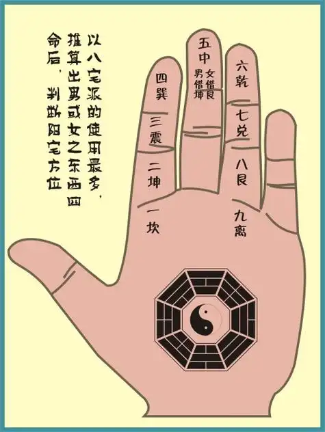 神奇的手掌内文化