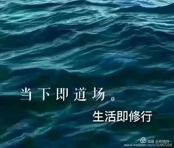 需要我们不断的修行来提升自己的修为,当下即到场,生活在修行