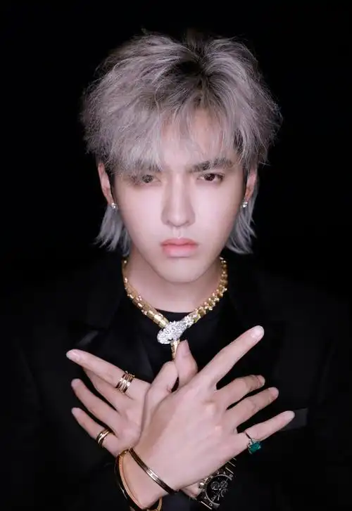 日前,吴亦凡一头银发黑西装造型亮相米兰时装周,可以说颜值决定一切了