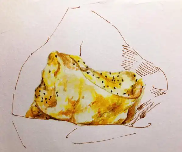 食物水彩手账煎饼