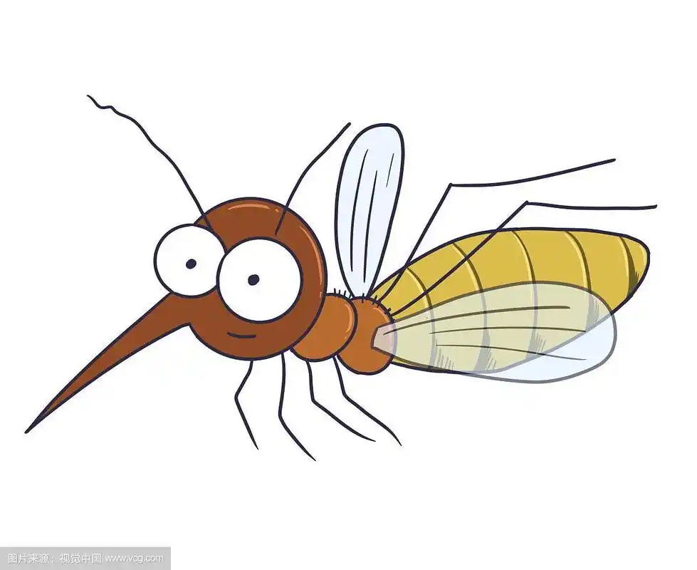 插画:手绘蚊子