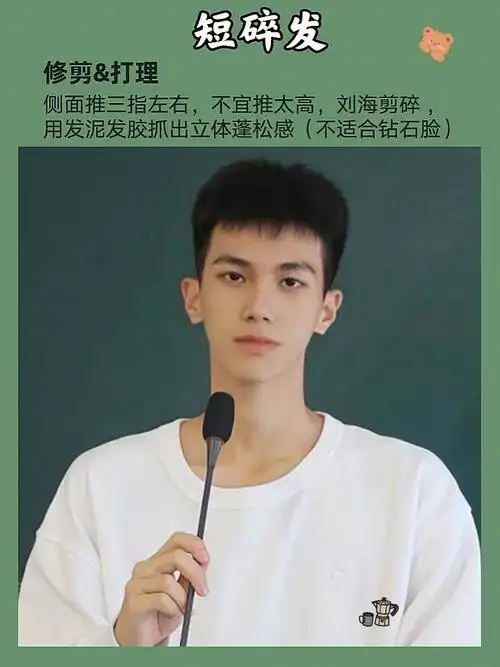 男士发型参考/男生发型推荐/碎盖发型/夏季清爽短发/男生短发发型小