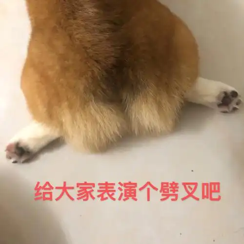 没什么才艺给大家表演个劈叉吧