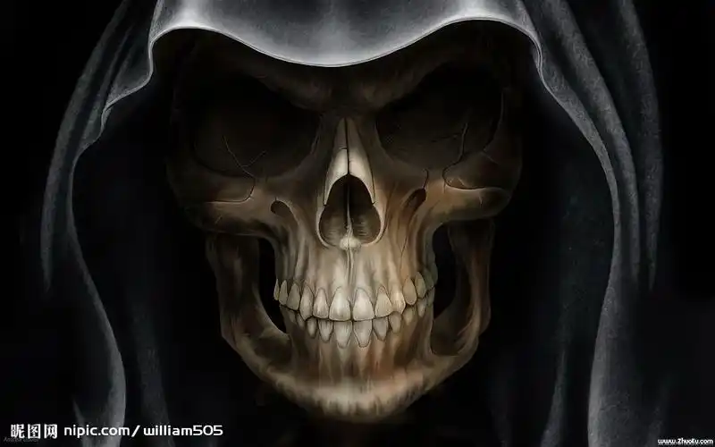 有没有死神的图片啊 如这种 有多少给多少啊