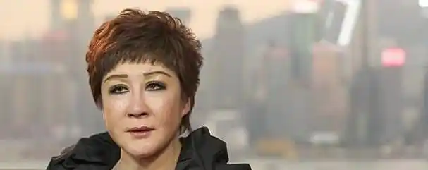 向华强前妻名叫丁佩,原名唐美丽,她的舅爷是张学良,父系三代都是从医