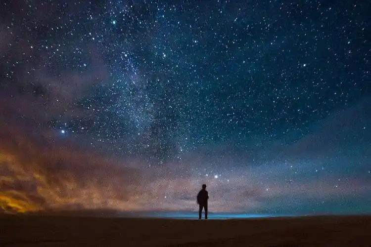 在我们的一生中,遇到爱,遇到性,都不稀罕,稀罕的是遇到了解.