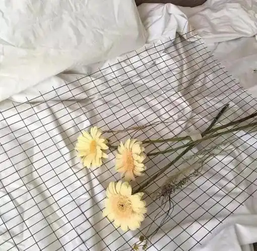 朋友圈背景图ins风