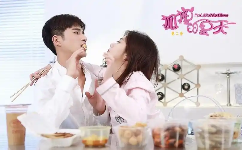 狐狸的夏天第二季全集(1-23集大结局)剧情介绍 狐狸的夏天2在线观看