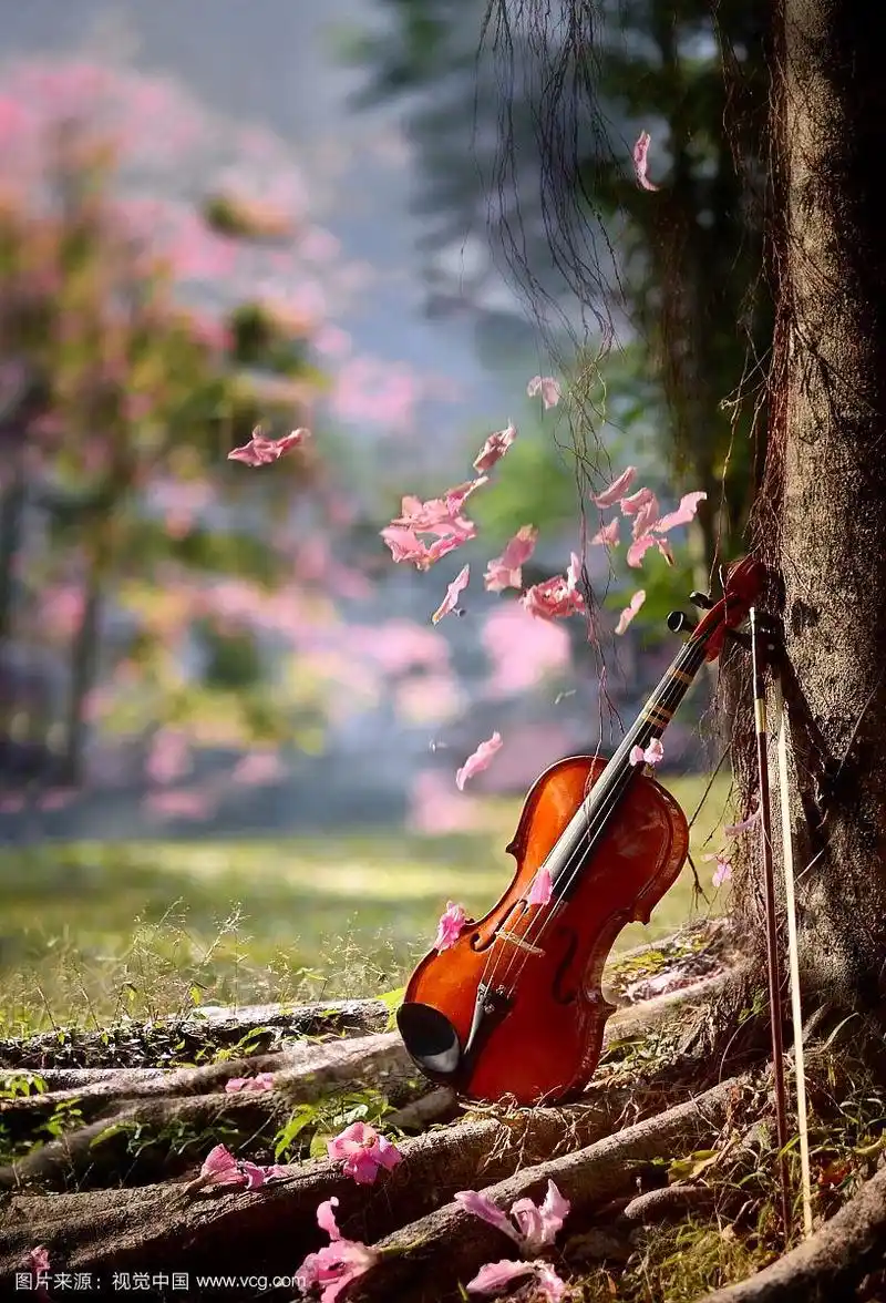 树边的小提琴与花